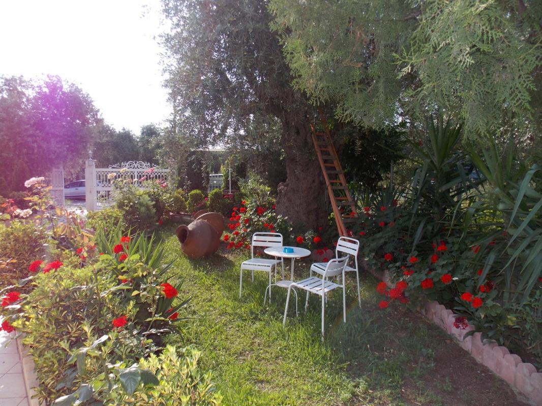 Ioli Apartments Limenas  Luaran gambar
